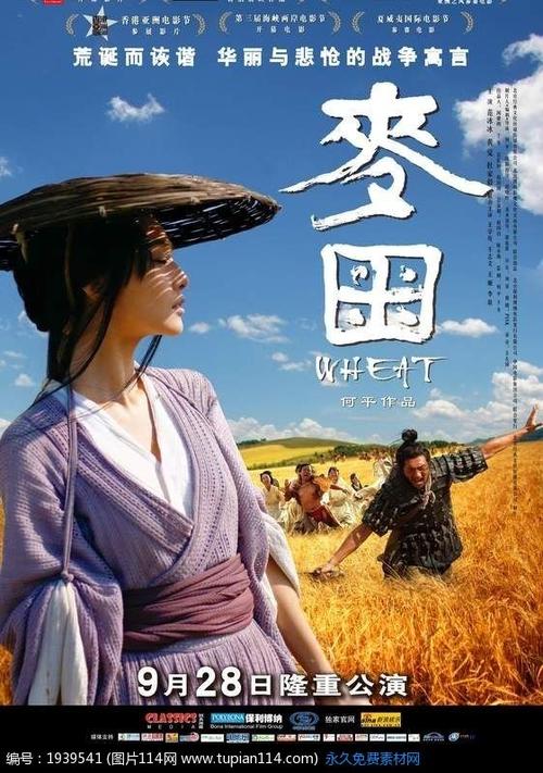 塔拉纳基理工学院graduationcertificate